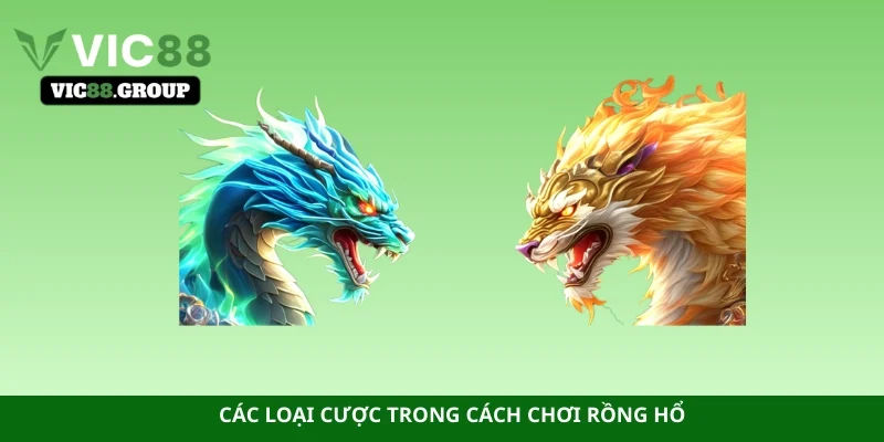 Các loại cược trong cách chơi Rồng Hổ