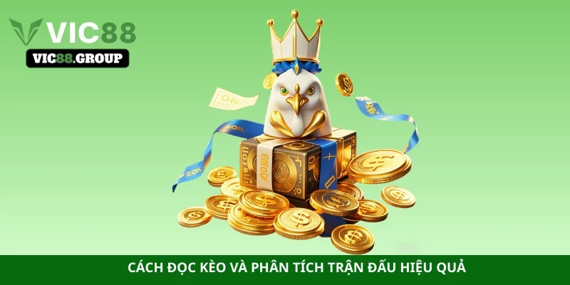 Cách đọc kèo và phân tích trận đấu hiệu quả