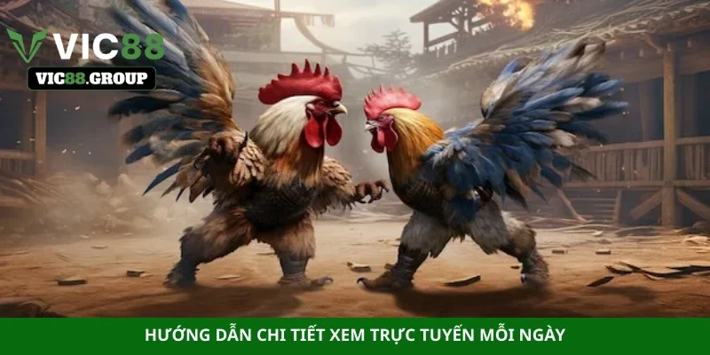 Hướng dẫn chi tiết xem trực tuyến mỗi ngày