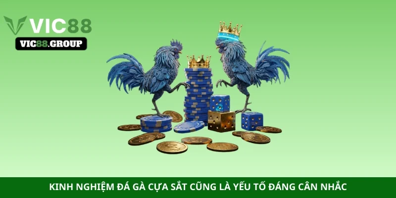 Kinh nghiệm đá gà cựa sắt cũng là yếu tố đáng cân nhắc