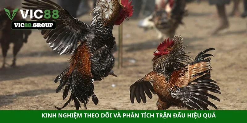 Kinh nghiệm theo dõi và phân tích trận đấu hiệu quả