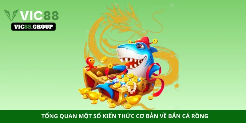 Tổng quan một số kiến thức cơ bản về bắn cá rồng